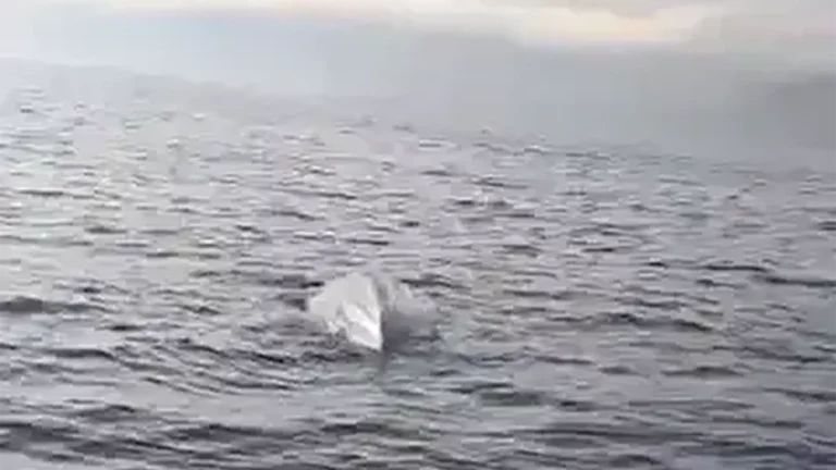 В Турции обнаружили второй за неделю морской дрон