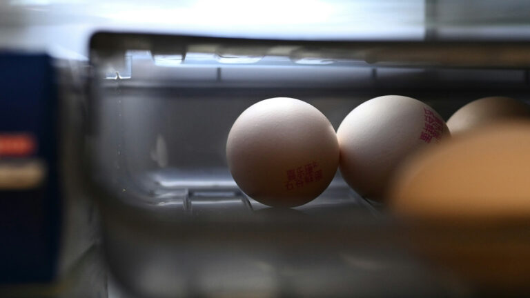 Названа причина запрета хранить куриные яйца на дверце холодильника