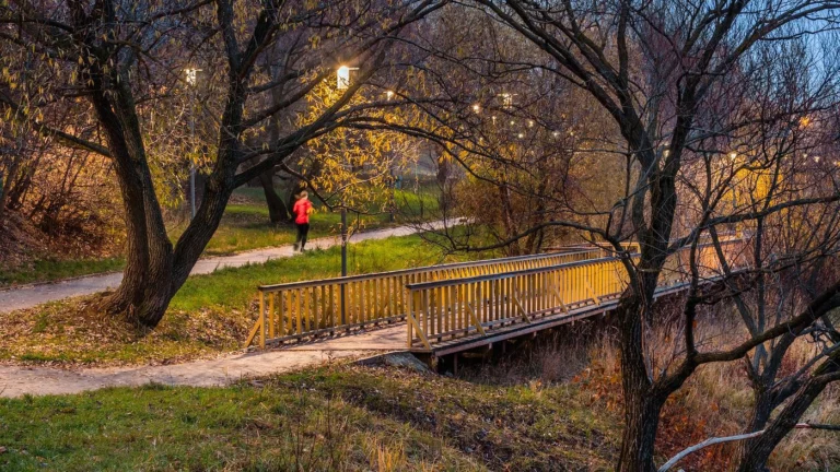 Чем заняться в ноябре: идеи для уютной и насыщенной осени