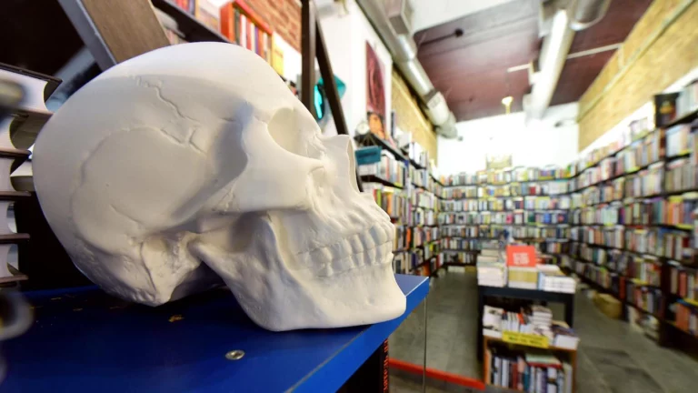 «Покричать в дупло»: писатели объяснили рост популярности хорроров в России