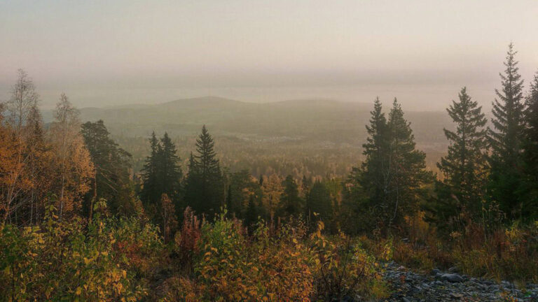 Ушли к Буратино: в красноярской тайге пропали туристы с маленьким ребенком