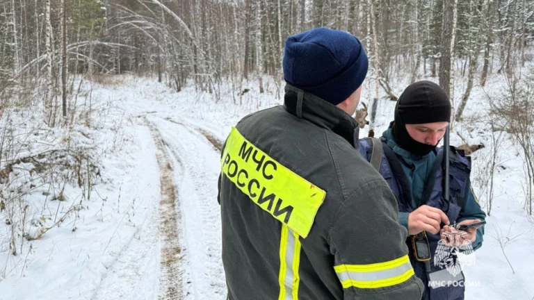 515 км лесных дорог: что известно о поисках пропавшей в красноярской тайге семьи