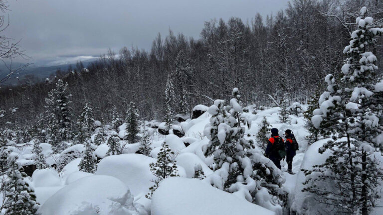Есть ли шансы найти живыми пропавших в тайге Усольцевых