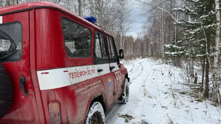 «Самый добрый вариант»: новые версии исчезновения семьи Усольцевых в тайге
