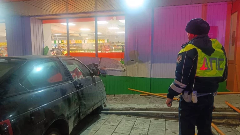 В МВД рассказали о водителе машины, сбившей насмерть девочек в Ревде