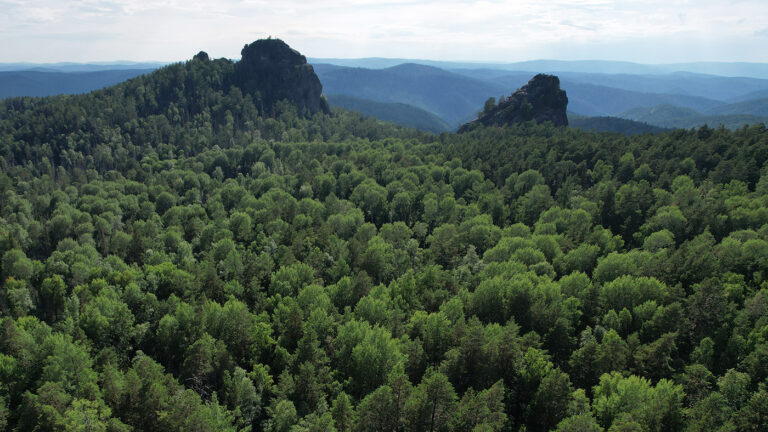 Архивное фото