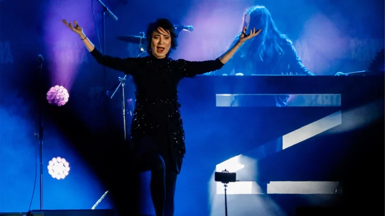 Земфира* сохранила и отслеживает свой статус индивидуального предпринимателя в России