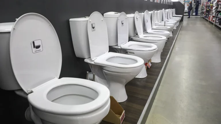 В Италии назвали убытки от запрета на поставки унитазов в Россию