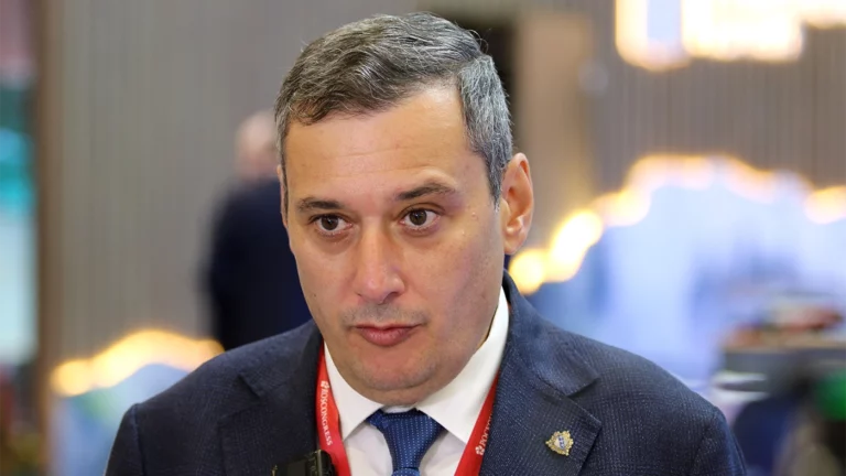 Хинштейн ответил Балицкому на слова о «незащитивших» регион от ВСУ курянах