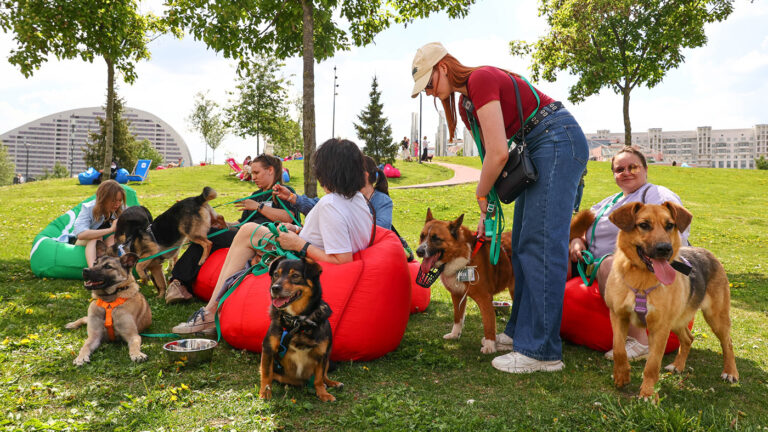 В России придумали слово для обозначения людей, вместе выгуливающих собак