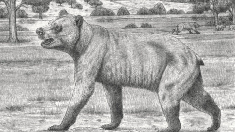 Использовано в публикации Палеонтологического института РАН