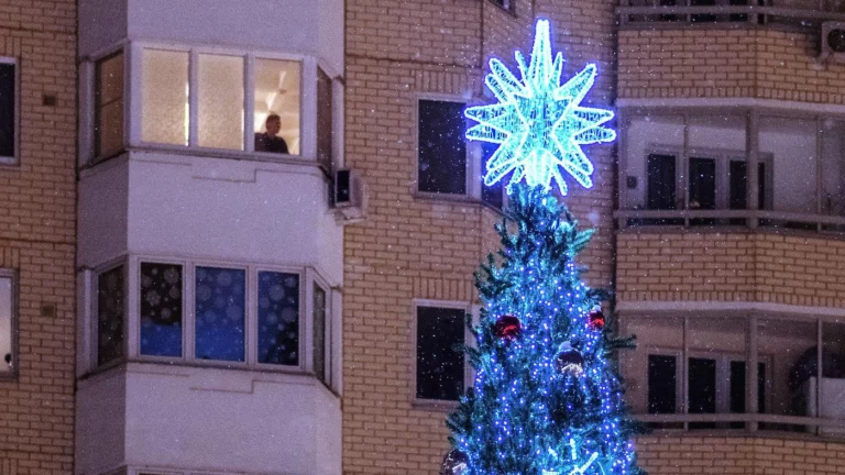 Россиян предупредили о штрафах за новогодние украшения в подъездах