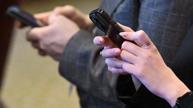 В Госдуме предложили штрафы до ₽700 тыс. за авторизацию через зарубежные сервисы