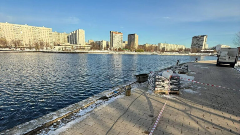 Что известно о смерти ребенка, найденного в Гольяновском пруду Москвы