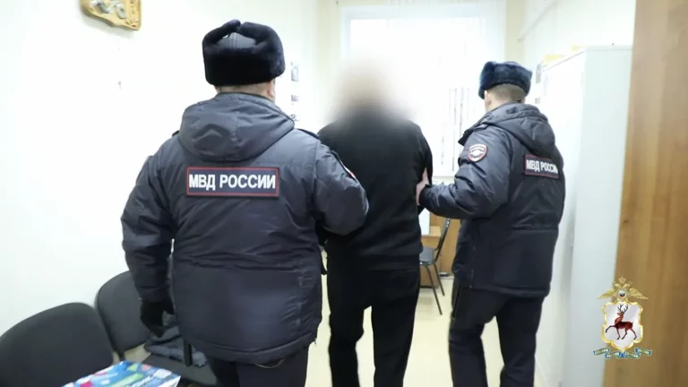 В Нижнем Новгороде участников СВО обманули на 4 млн рублей через «фиктивных жен»