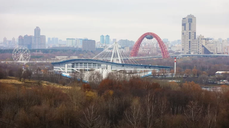 «Зима отступит»: когда в Москве и области ожидается снег
