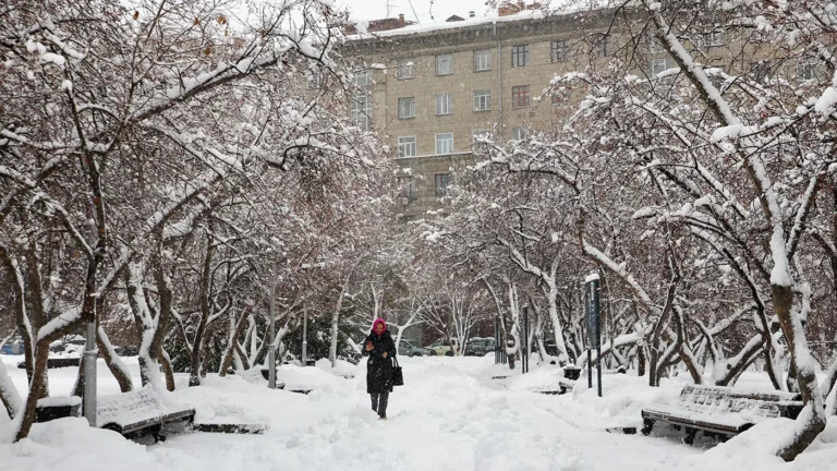 Вильфанд: предстоящая зима будет холоднее прошлой
