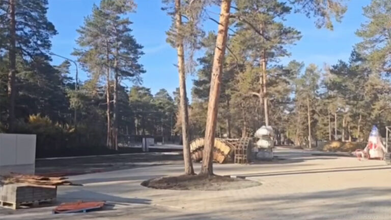 Экс-главу челябинского комитета культуры задержали из-за парка аттракционов