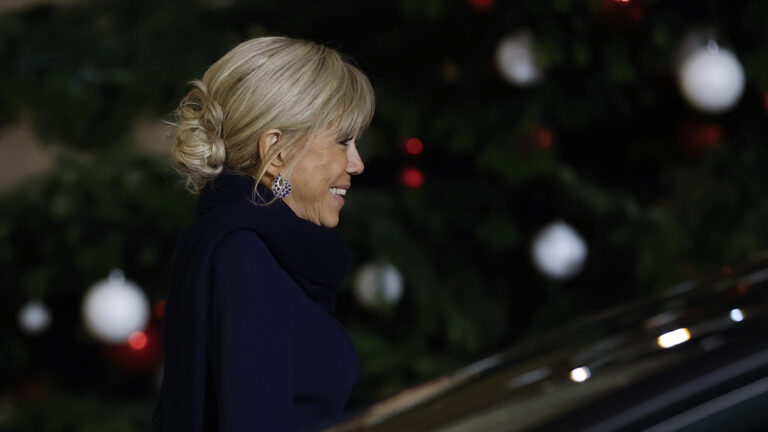 Во Франции 10 человек осудили за интернет-травлю Брижит Макрон