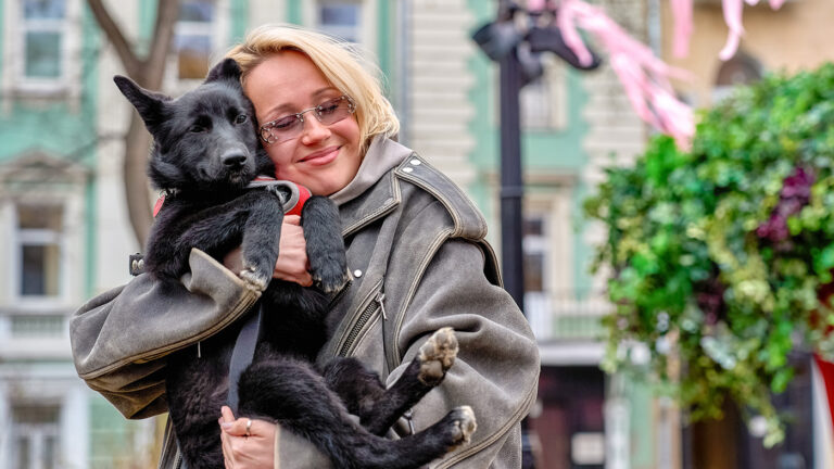 Более 50 бездомных кошек и собак из московских приютов обрели дом за четыре дня благотворительной выставки