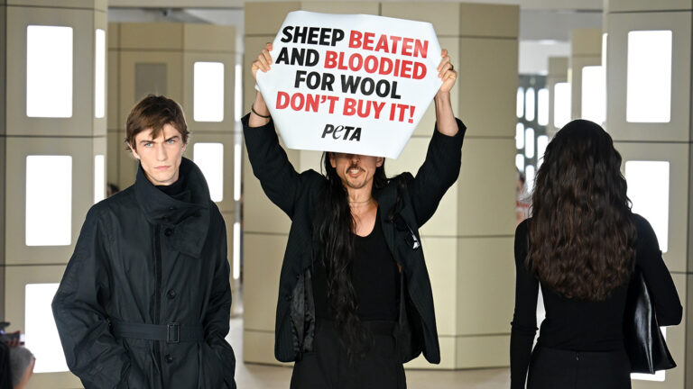 Что произошло на показе COS в Нью-Йорке: глава CFDA силой удерживал активистов PETA